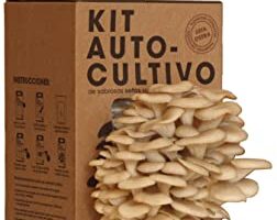 COMPRAR KIT DE AUTOCULTIVO SETAS