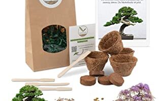 COMPRAR KIT DE CULTIVO DE BONSÁIS