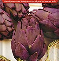 COMPRAR SEMILLAS DE ALCACHOFA MORADA