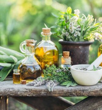 plantas medicinales y para que sirven