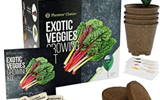 COMPRAR KIT DE CULTIVO VERDURAS EXÓTICAS