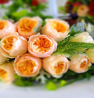 juliet rose flores raras