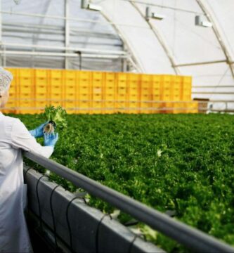 día internacional de la sanidad vegetal 2023
