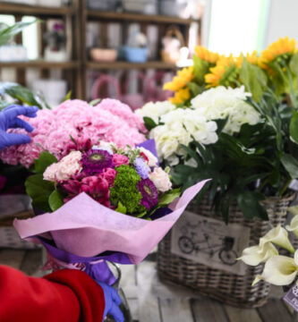ideas de plantas para regalar el día de la madre